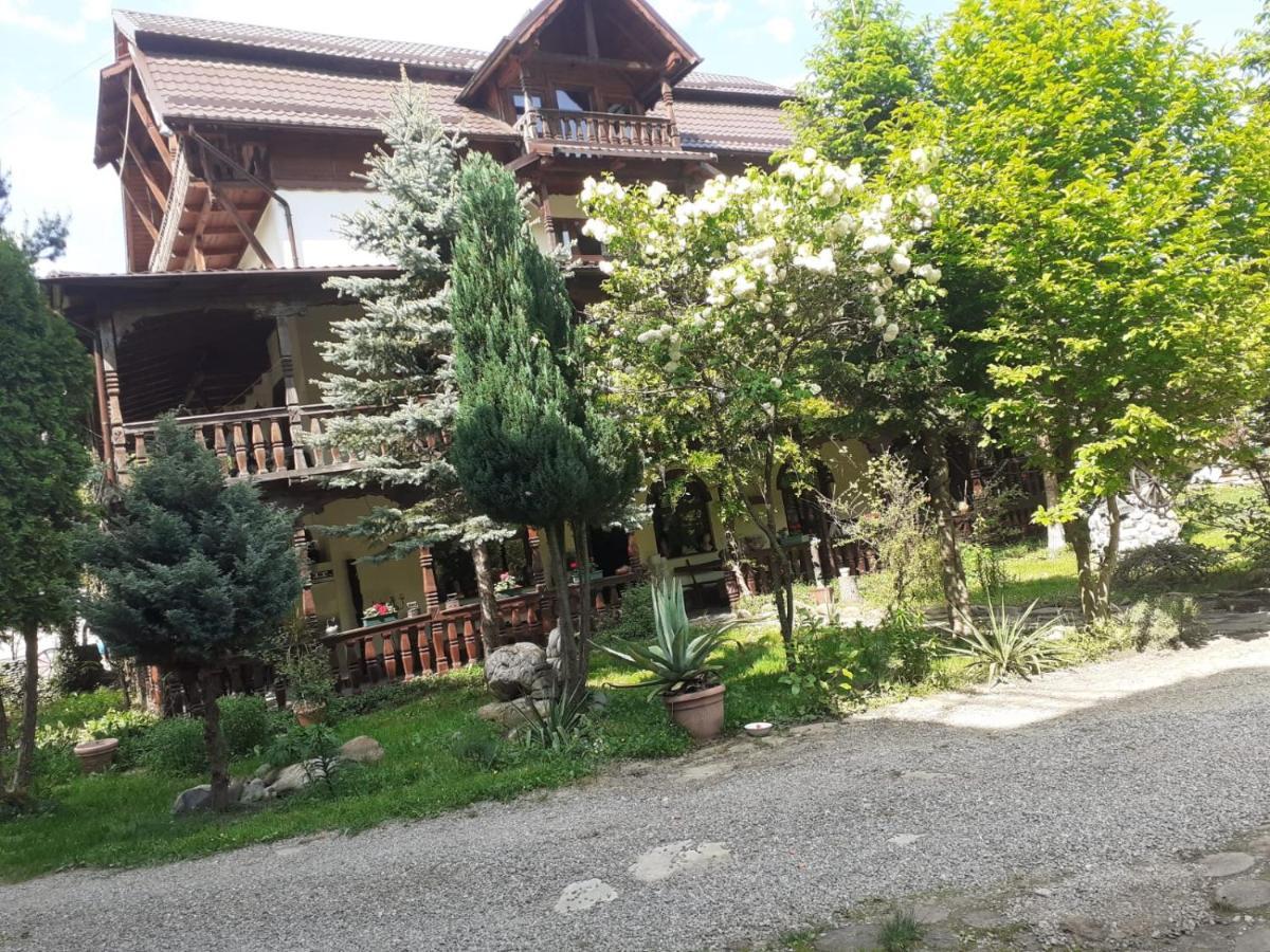 Pensiunea Perla Maramuresului Borşa Exterior foto