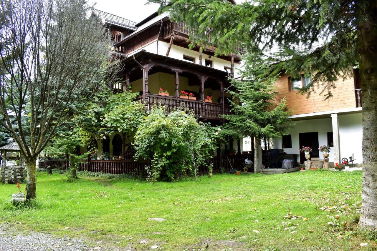 Hotel Pensiunea Andrei Borşa Exterior foto