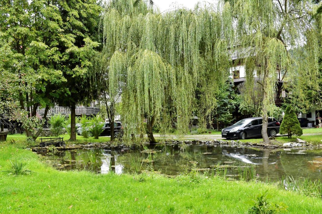 Pensiunea Perla Maramuresului Borşa Exterior foto