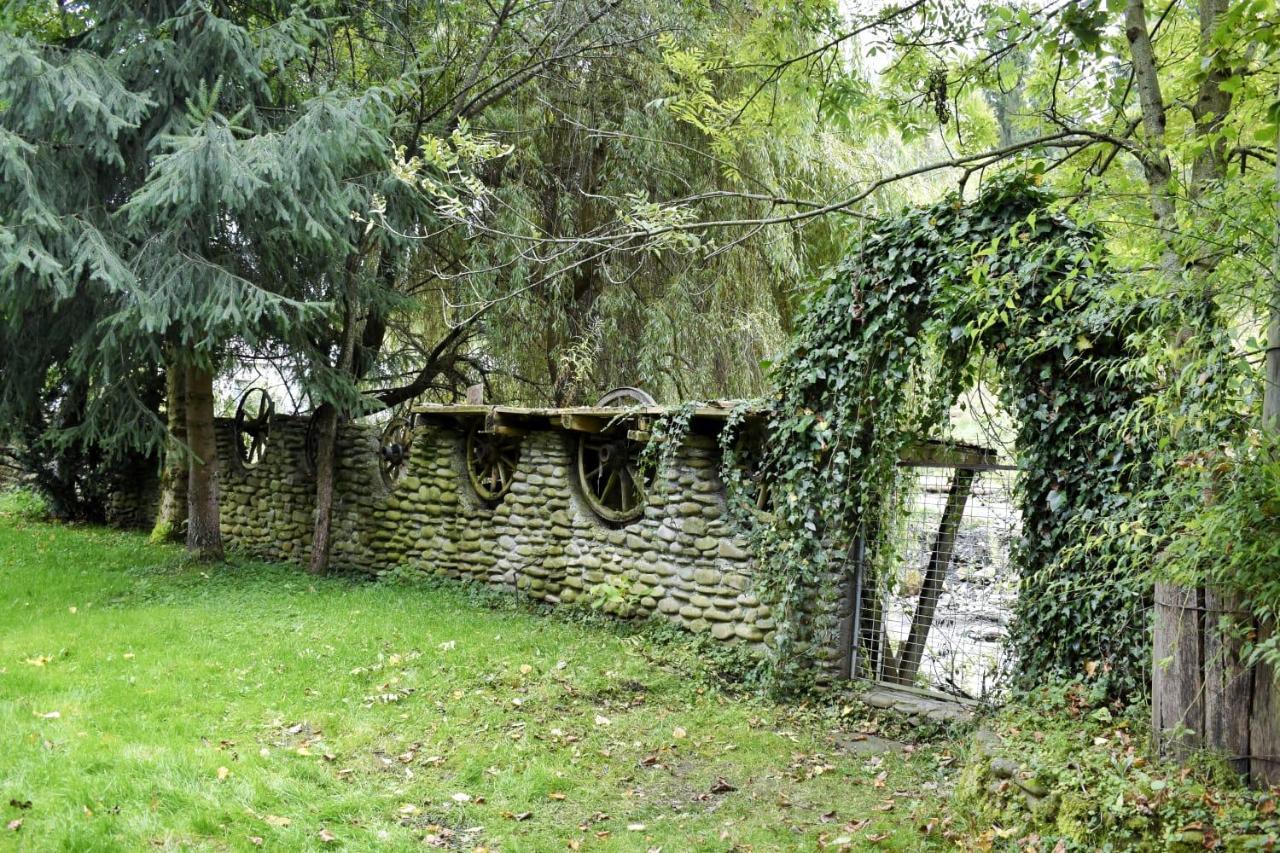 Hotel Pensiunea Andrei Borşa Exterior foto