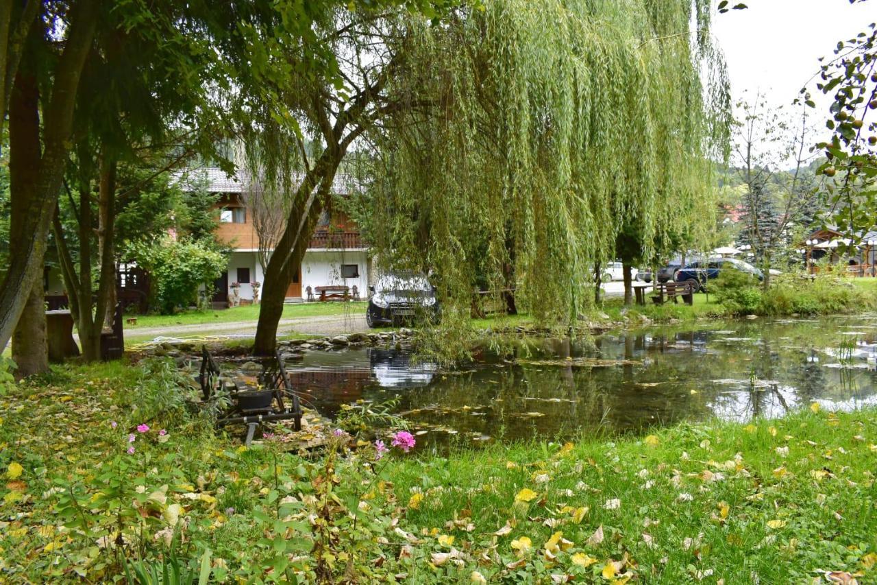 Pensiunea Perla Maramuresului Borşa Exterior foto