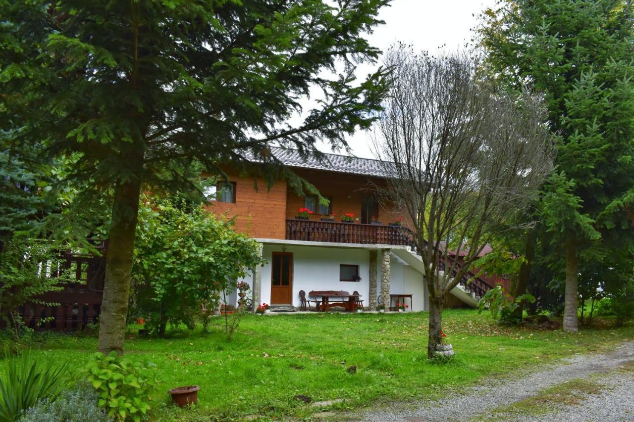 Hotel Pensiunea Andrei Borşa Exterior foto